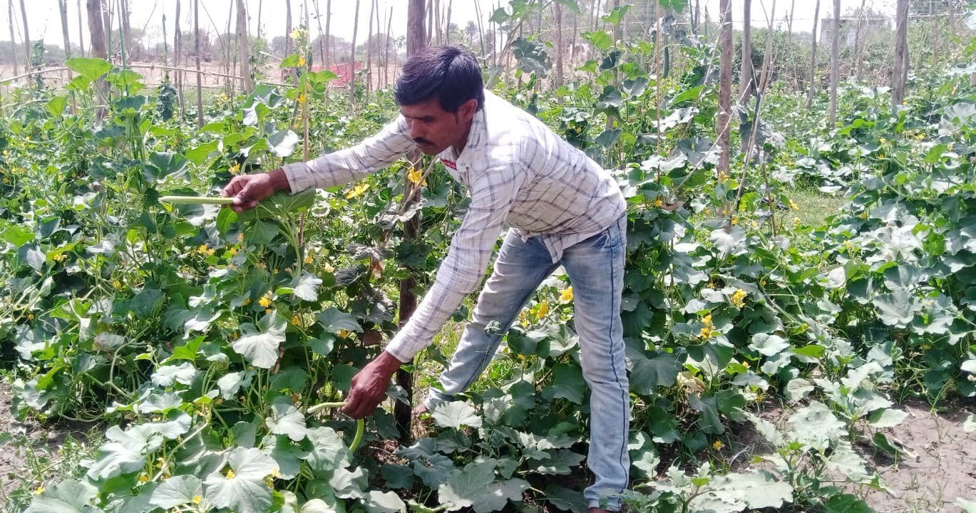 Climate Smart Agriculture